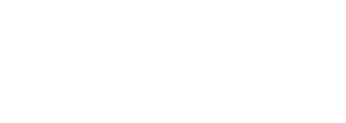 cropped-Palmy-media.png